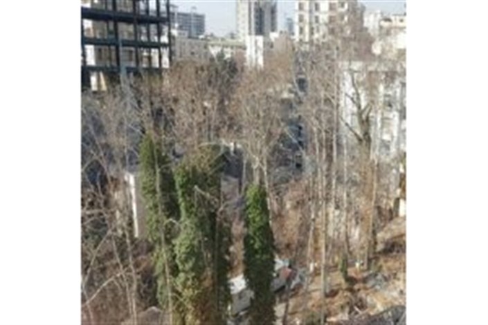باغ‌کُشی در فرشته/به‌جای مصادره، 171 اصله درخت قطع شد
