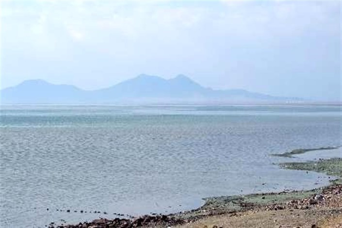 بازگشت فلامینگوها به دریاچه ارومیه/ کاهش تراز در تابستان طبیعی است