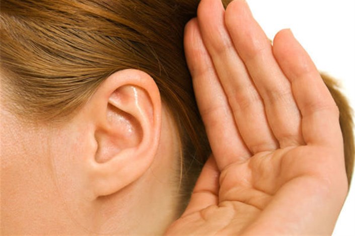 موفقیت دانشمندان در رشد بافت گوش داخلی با استفاده از سلول های بنیادی