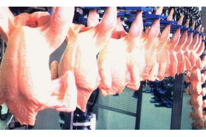 وزارت جهاد اعلام کرد؛ عرضه ۲۰ هزار تن گوشت مرغ برای تنظیم بازار ماه رمضان