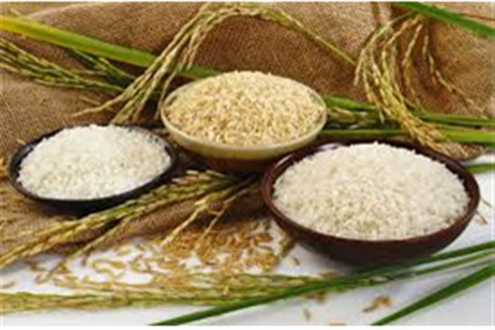 دبیر انجمن برنج مطرح کرد:  انتقاد از عملکرد دستگاه‌های نظارتی در کنترل بازار برنج