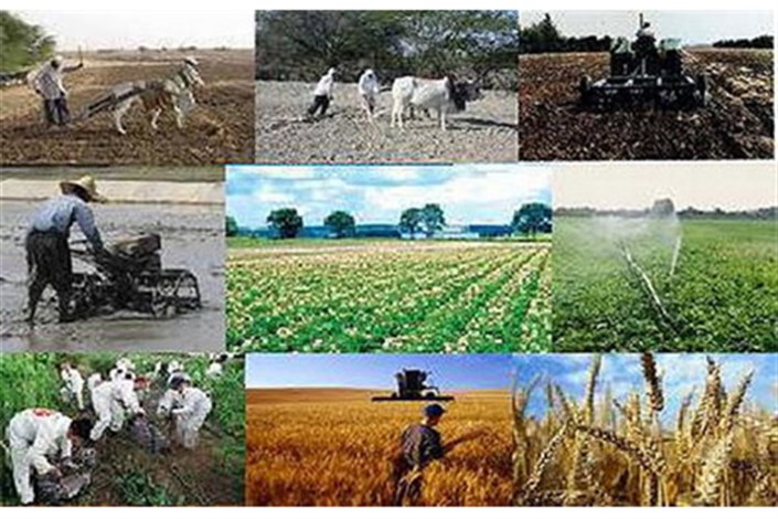 صادرات  بیش از  بیش از ۵.۳ میلیون تن محصولات کشاورزی به ارزش ۵میلیارد دلار