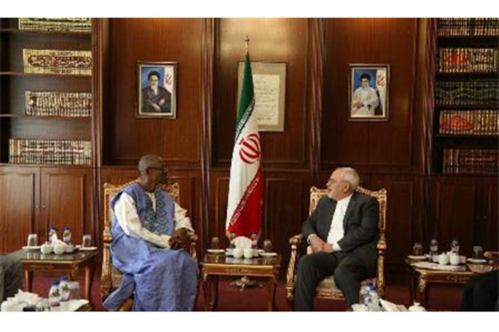 ظریف: آفریقا از لحاظ سیاسی، اقتصادی و فرهنگی برای ایران از اهمیت ویژه ای برخوردار است