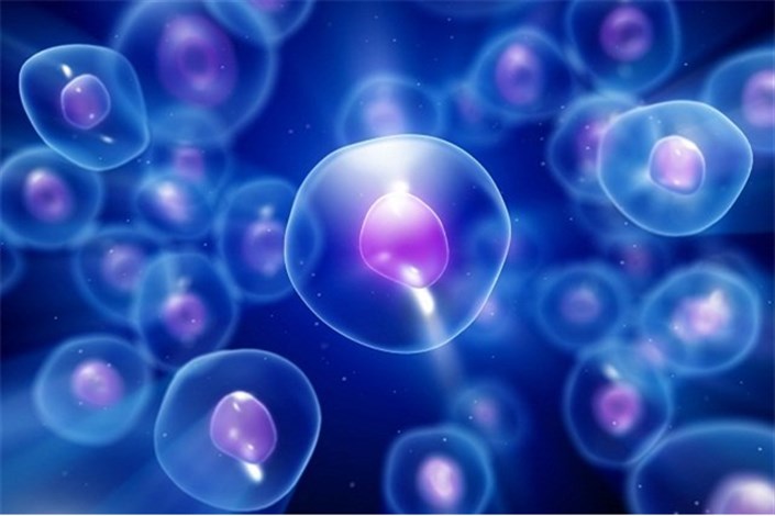 برگزاری اولین سمپوزیوم سلول‌های بنیادی در علوم پزشکی شاهرود