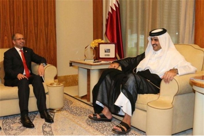 امیر قطر در دیدار با جبوری بر برقراری روابط ویژه با عراق تاکید کرد