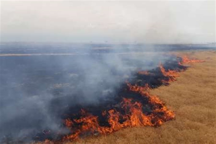 آتش سوزی در اراضی مرتعی خلیج گرگان