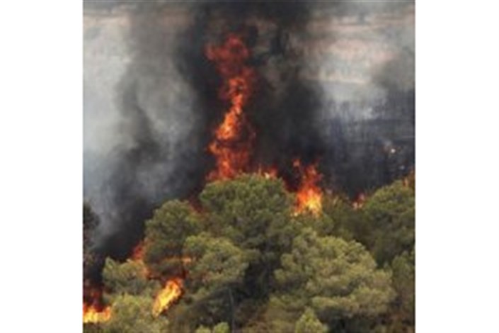 ردپای قاچاقچیان گراس در آتش‌سوزی‌های میانکاله 