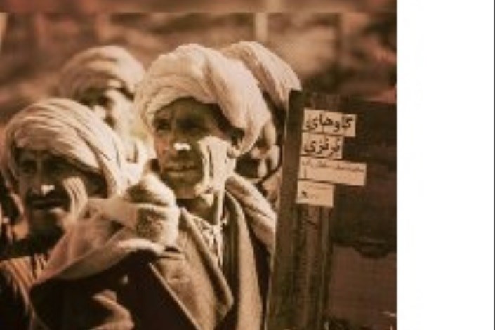 " گاوهای برنزی" به روایت نویسنده افغانستانی