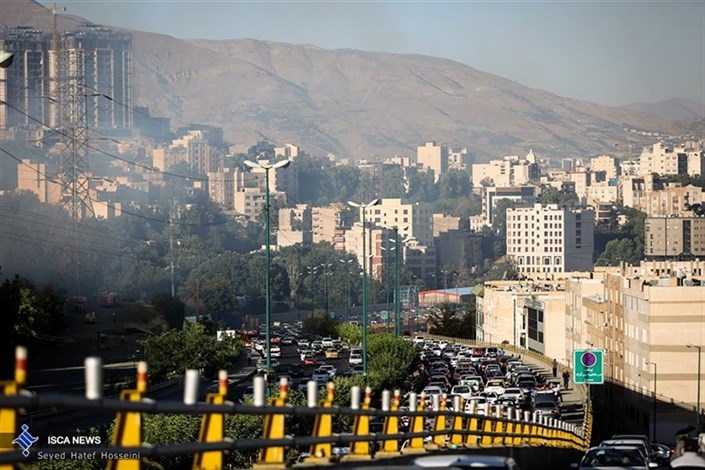 آتش سوزی در فضای سبز خیابان دشت بهشت تهران