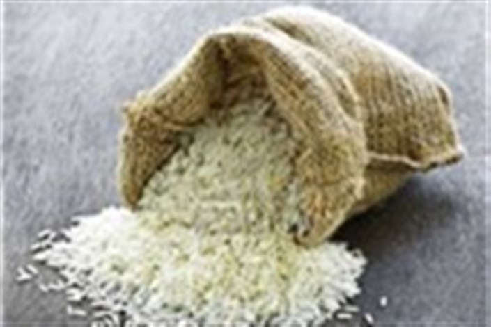 قاچاق ۵۰۰ هزار تن برنج به کشور در سال ۹۵/امسال قاچاق برنج صفر شد