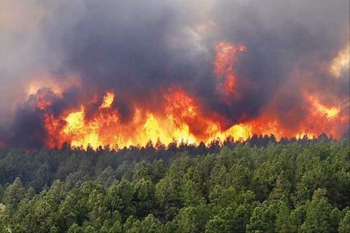 سوختن جنگل‌ها در آتش زمین‌خواری