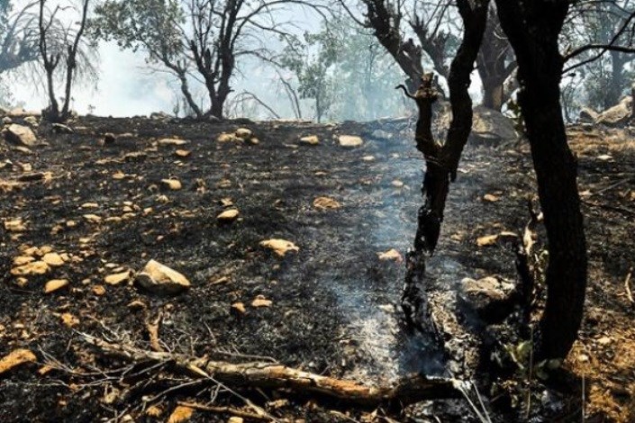  ۹۵ درصد جنگل‌های چاوونی اندیمشک از چنگال آتش نجات یافت