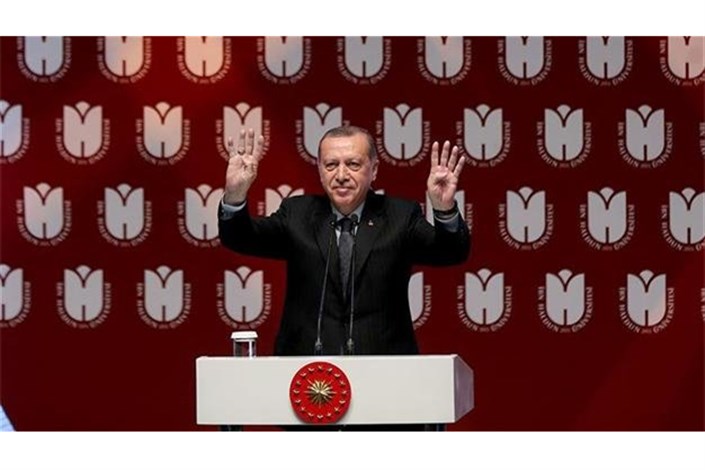 ترکیه اظهارات انتقادی سیاستمداران آلمانی علیه اردوغان را محکوم کرد