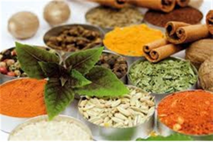  56 قلم داروی گیاهی تحت پوشش بیمه/120 شرکت تولید گیاهان دارویی و داروهای گیاهی در کشور ثبت شد