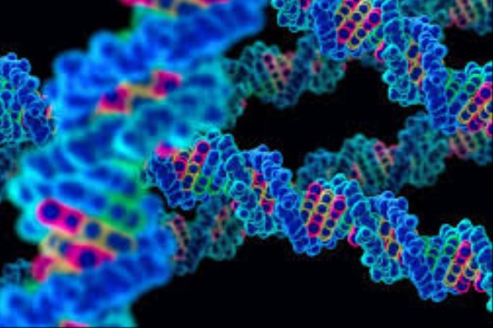  سرطان غدد لنفاوی با ژن درمانی بهبود می یابد