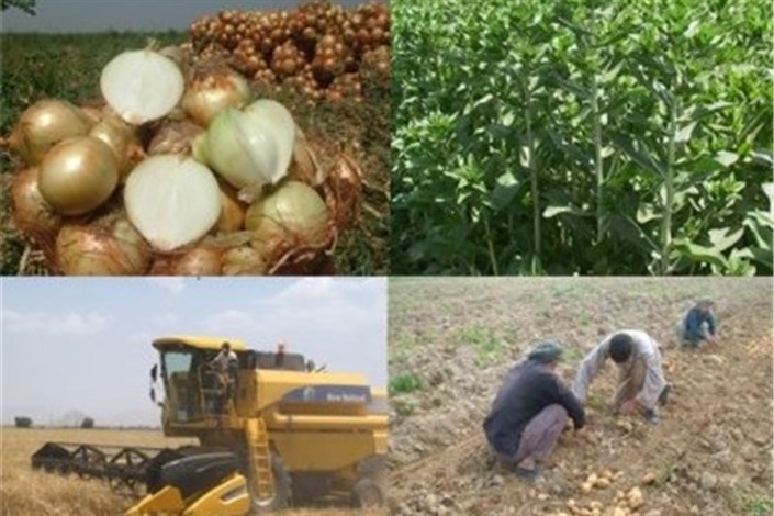 چالش‌های پیوستن  کشاورزی ایران به اتحادیه اوراسیا