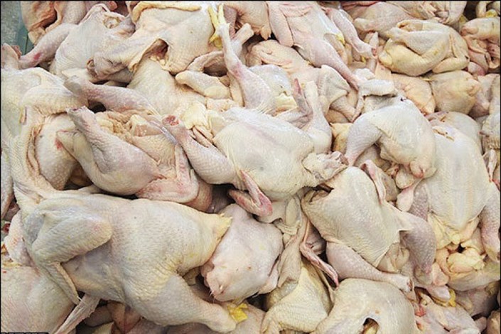 افزایش قیمت مرغ به دلیل گرانی جوجه و گوشت/ مرغ ۸۰۰۰ تومانی گران نیست