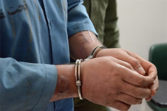  دستگیری عامل شکار غیر مجاز در هرمزگان