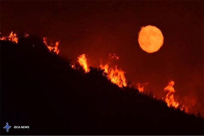 آتش سوزی  ۵ هکتار از عرصه‌های منابع طبیعی در استان گلستان