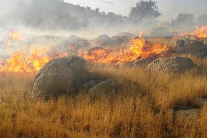 ۵ هکتار از جنگل های آمل در آتش سوخت