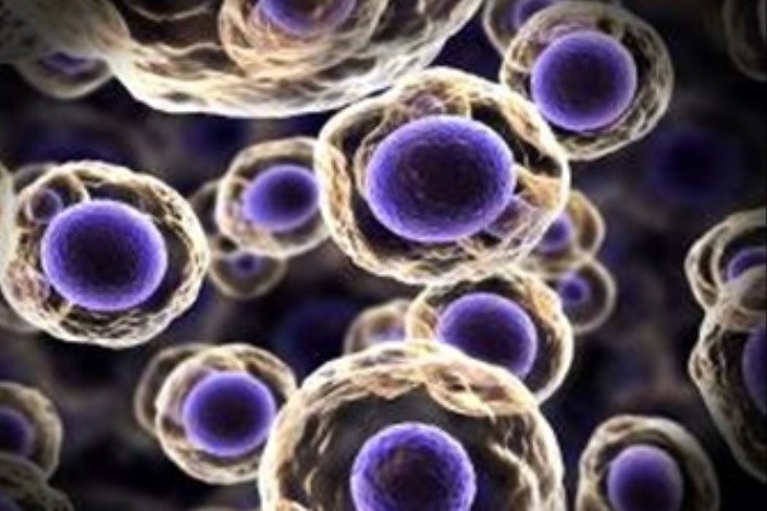 شناسایی سلول‌های سرطانی متاستاتیک با نانوبیوسنسور الکتریکی