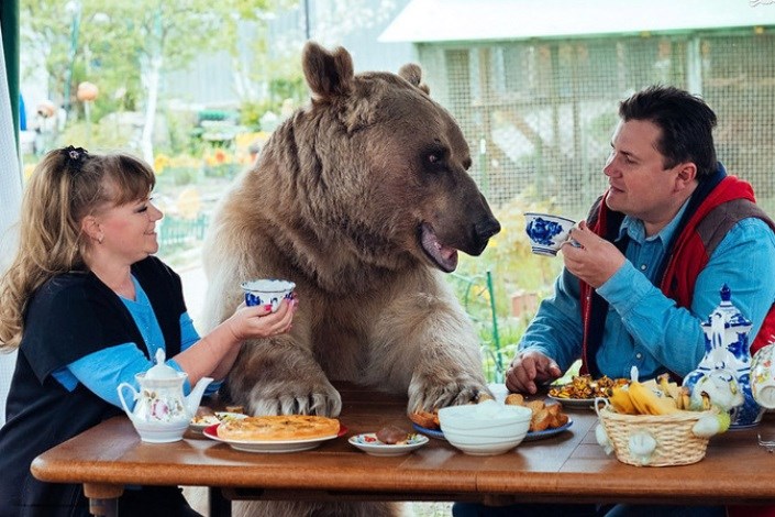 24 سال زندگی  زوج روسی با خرس غول پیکر 