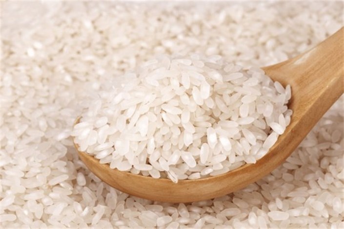 واردات ۱ میلیارد دلار برنج به کشور
