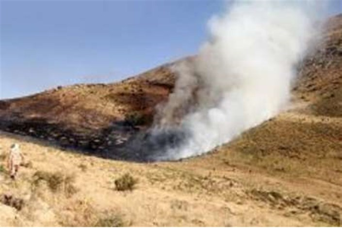 کاهش 82درصدی آتش سوزی درعرصه های طبیعی البرز