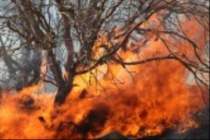  بازداشت عاملان آتش‌سوزی جنگل‌های "خائیز"