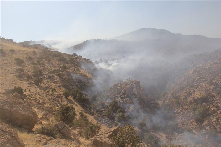 مهار آتش سوزی در جنگل های کوه خامی گچساران پس از یک شبانه روز