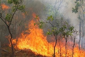 مهار آتش سوزی جنگل‌ها و مراتع ارتفاعات شهرستان چرام