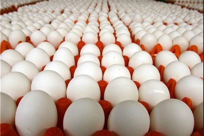 توزیع تخم مرغ شانه ای زیر12 هزارتومان از فردا