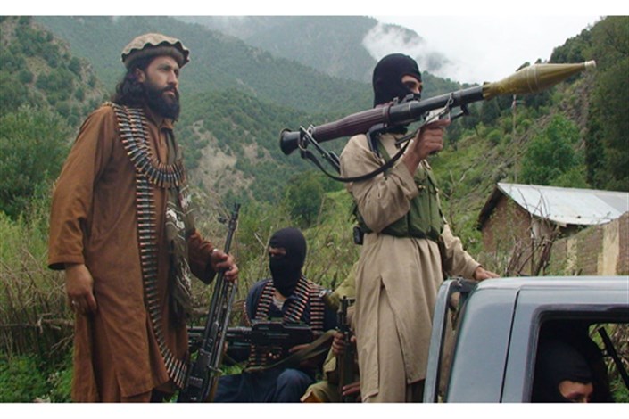 طالبان 235 روستایی را آزاد کرد 