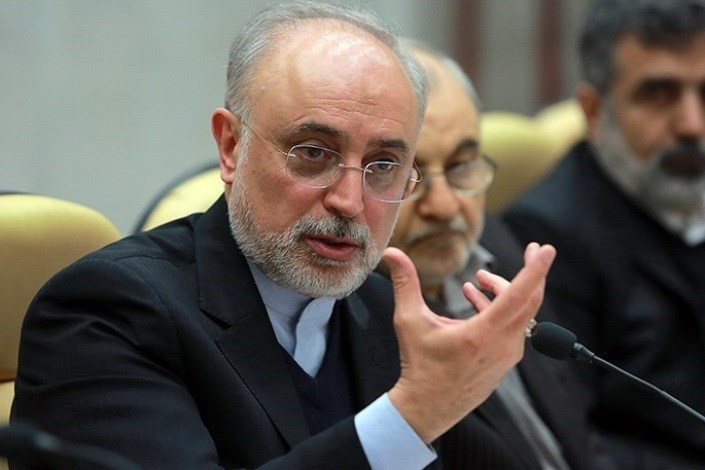 ایران برای افزایش سهم انرژی هسته ای برنامه ریزی درازمدتی انجام داده است