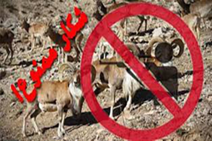 شکار پرندگان در آذربایجان غربی ممنوع شد