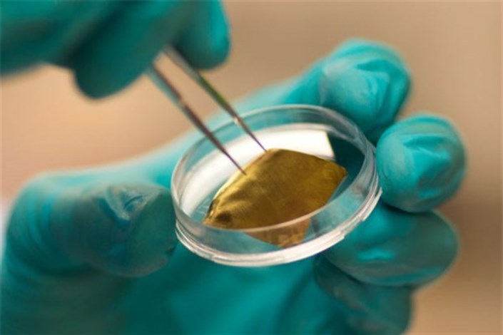 درمان سرطان ریه بااستفاده از نانوذرات طلا 