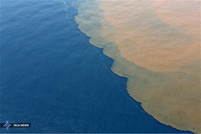 آب های خلیج فارس در محدوده هرمزگان آلودگی نفتی ندارد 