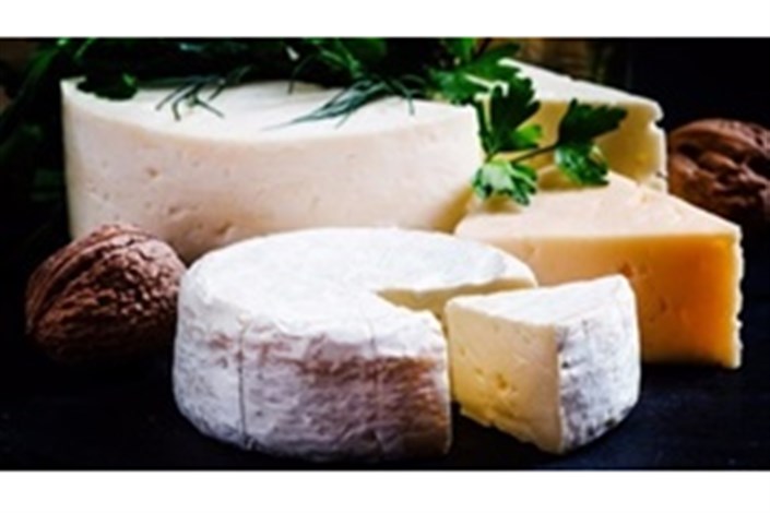   تغییر شکل جمجمه انسان  با مصرف پنیر