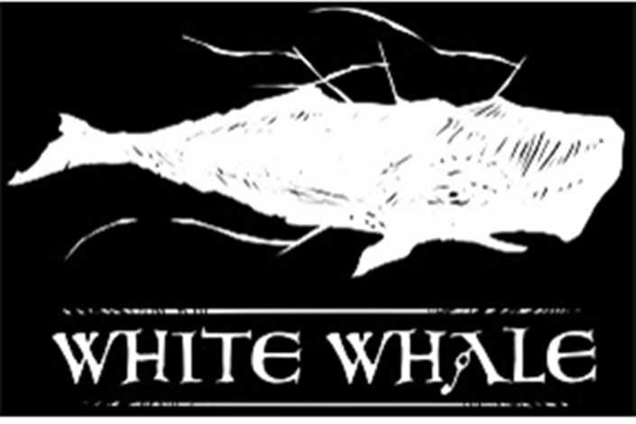  روی دستت با چاقو عکس نهنگ  بکش/مرگ در 50 روز / ارتباط بازی نهنگ سفید  و خودکشی نوجوانان 