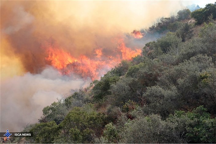  آتش‌سوزی در سه نقطه جنگلی در شهرستان کلاله 