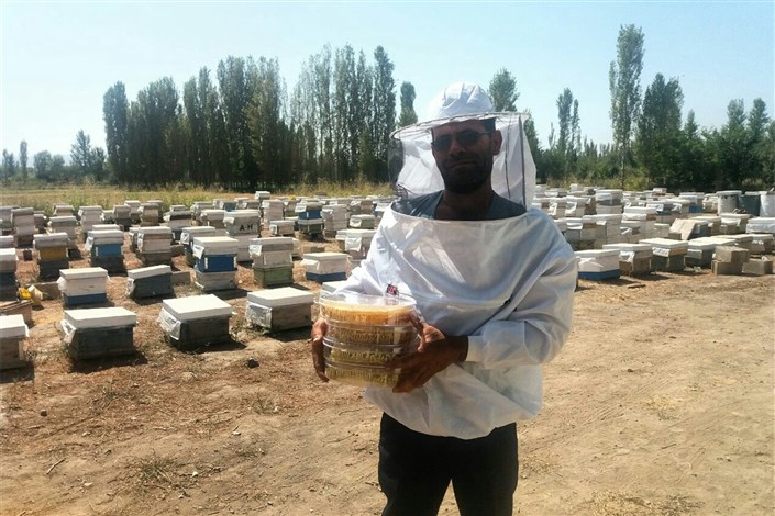 آغاز برداشت عسل از زنبورستان های شهرستان خوی 