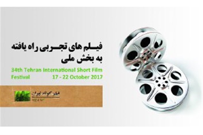 آثار راه‌یافته به بخش ملی جشنواره بین‌المللی فیلم کوتاه تهران