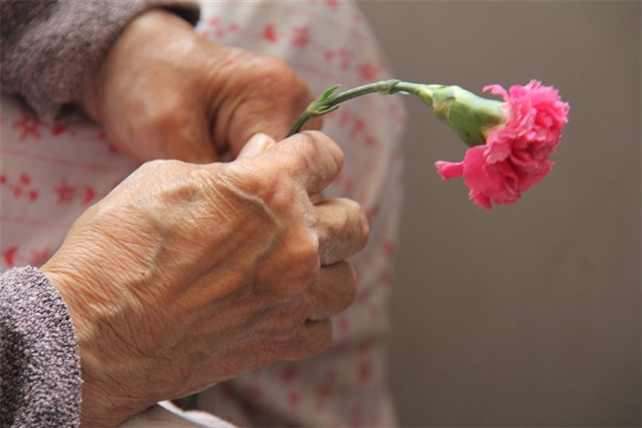  اختصاص ۷۵۰ میلیون تومان به سالمندان تحت پوشش  کمیته امداد استان تهران