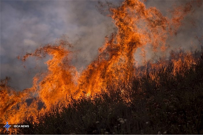 20 هکتار از جنگل های شهرستان گلوگاه در آتش سوخت