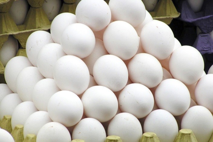 تخم مرغ بیشترین افزایش قیمت سالیانه را داشت