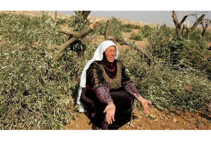 سرقت صهیونیست ها از مزارع فلسطینیان