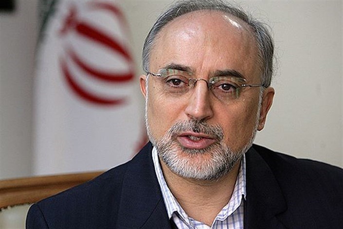 صالحی: نیروگاه های هسته ای بوشهر نماد همکاری راهبردی ایران و روسیه است