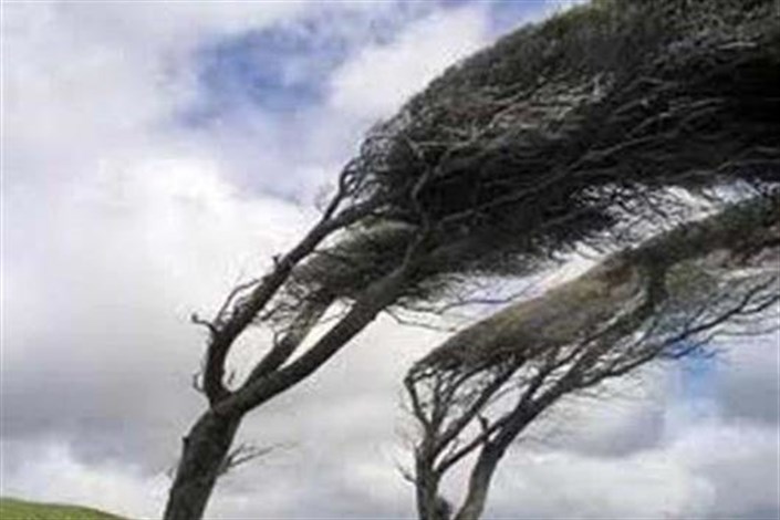 وزش باد در سیستان به 70 تا 90 کیلومتر برساعت خواهد رسید