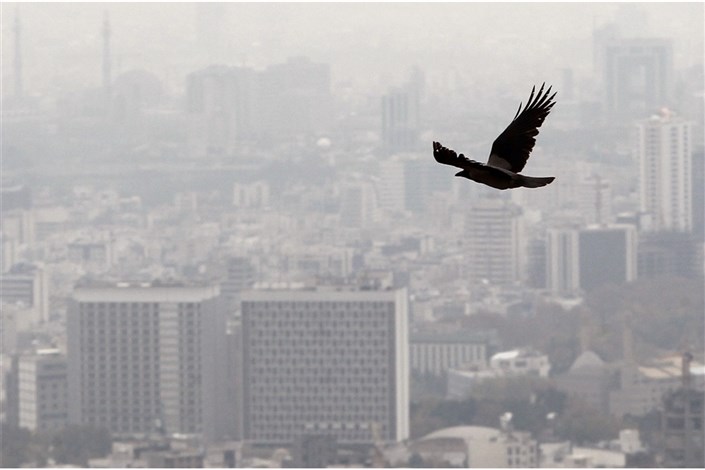 هوای تهران برای سومین روز پیاپی ناسالم است