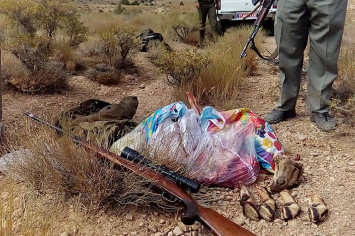 دستگیری ۴ شکارچی همراه با لاشه ۳ آهو در پناهگاه حیات وحش موته